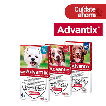 - VERANO - ELANCO ANTIPARASITARIOS VISIBILIDAD ADVANTIX (31 JULIO 2026)