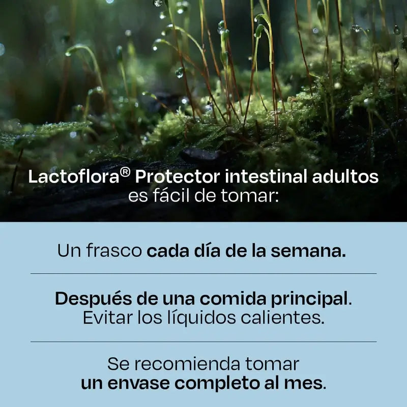 Lactoflora Adultos, 10 Frascos
