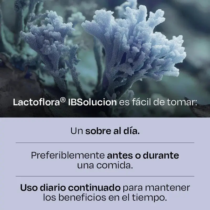 Lactoflora Ibsolución 28 sobres