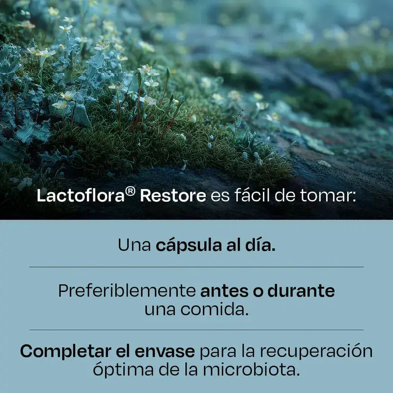 Lactoflora Restore 20 cápsulas