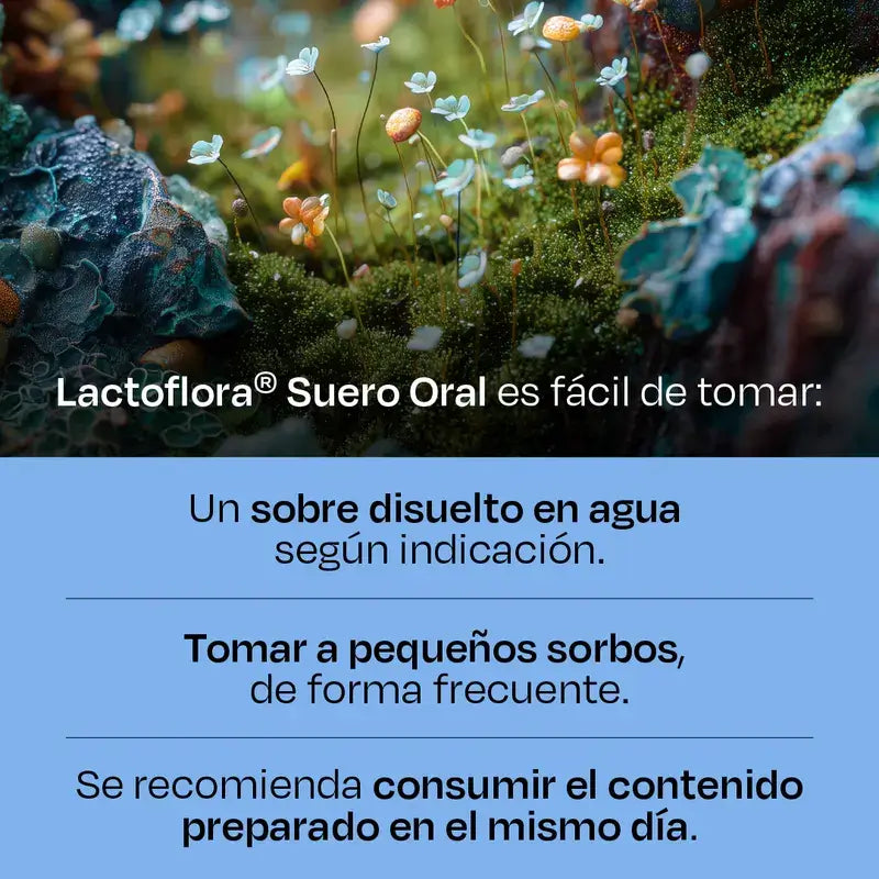 Lactoflora Suero Oral, 6 Sobres