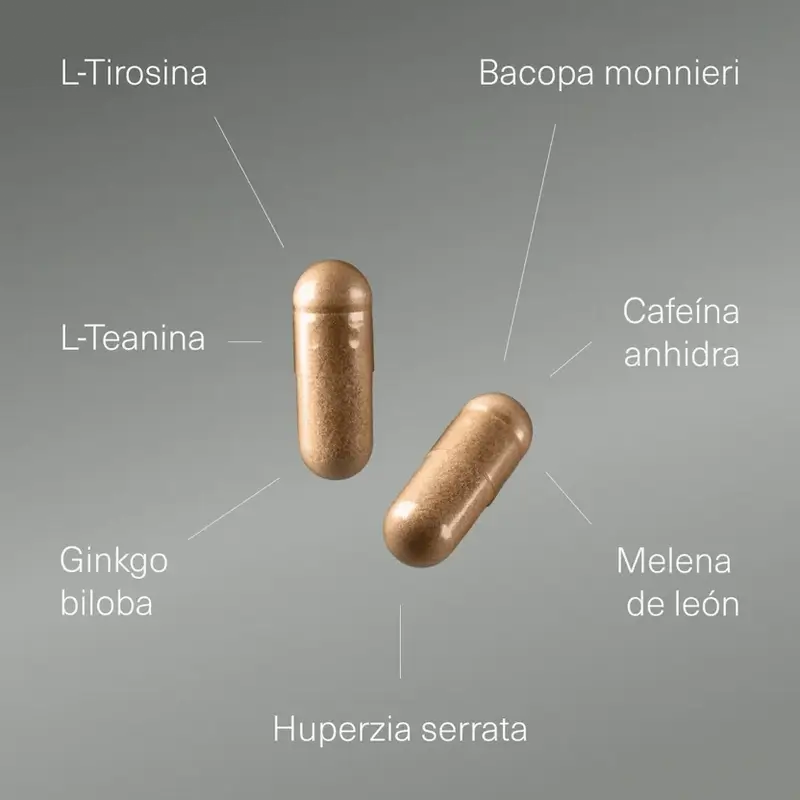 Aldous Labs Nootrópico con Ginkgo Biloba, Melena de León, Cafeína, Bacopa, Tirosina, Teanina y Huperzina A