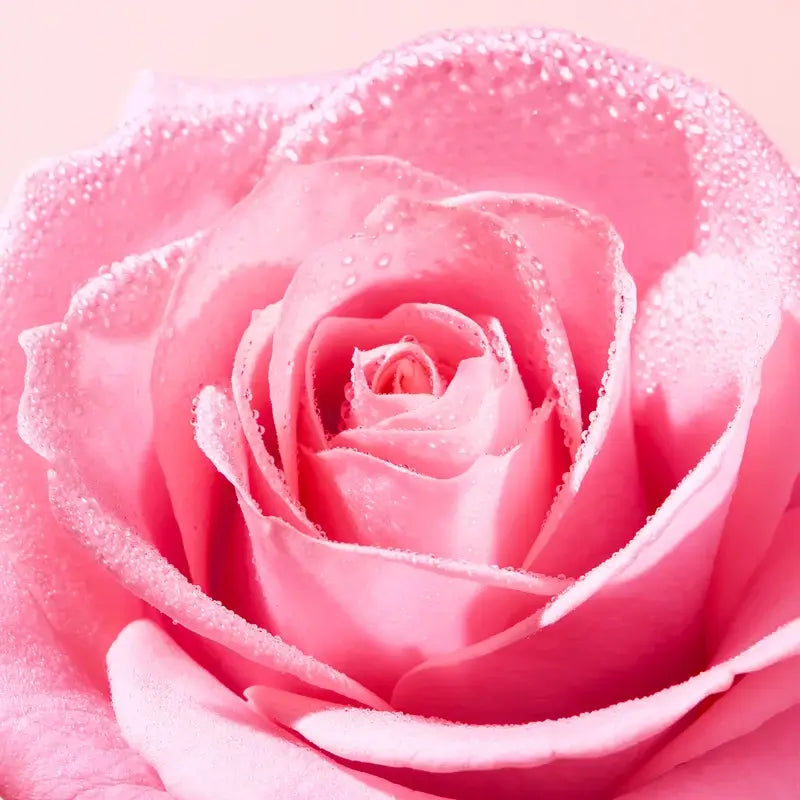 Nuxe Very Rose Bálsamo de Labios