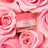 Nuxe Very Rose Bálsamo de Labios