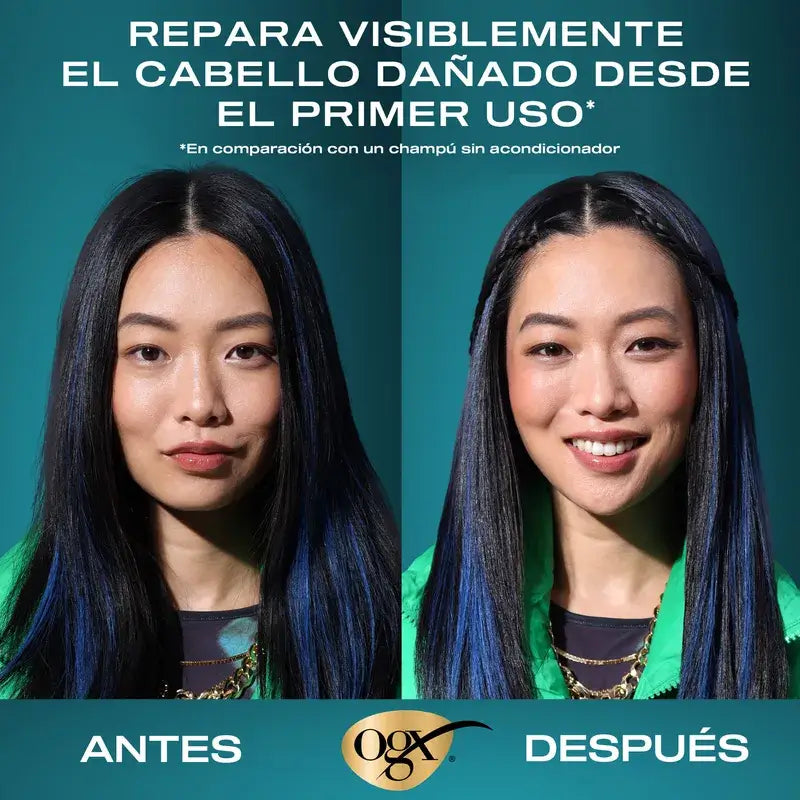 OGX Champú Aceite de Argán de Marruecos, Cabellos Secos y Dañados, 385 ml