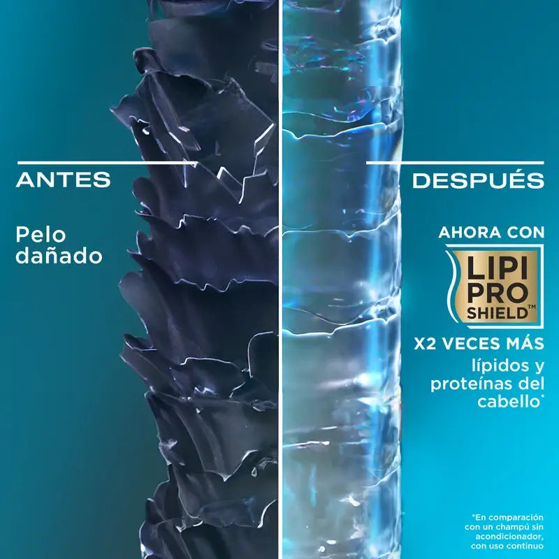 OGX Champú Aceite de Argán de Marruecos, Cabellos Secos y Dañados, 385 ml