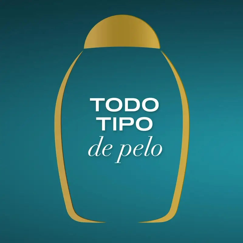 OGX Champú Aceite de Argán de Marruecos, Cabellos Secos y Dañados, 385 ml