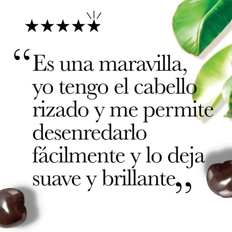 OGX Champú Aceite de Kukuí Anticrespamiento, 385 ml