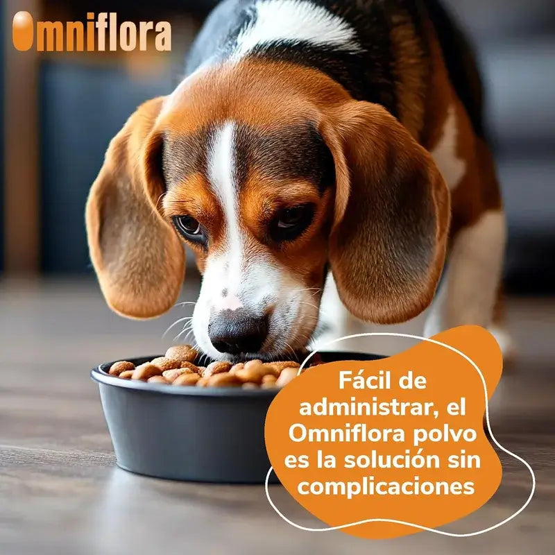 Omniflora Polvo Oral, 30 Sobres x 2 gr