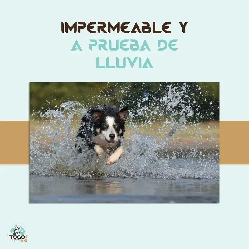 Togo Collar Antiparasitario Repelente Para Perros Todos Los Tamaños, pack de 2