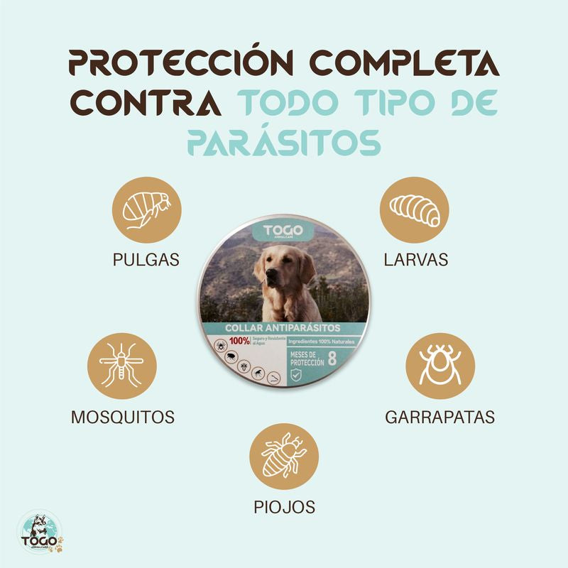 Togo Collar Antiparasitario Repelente Para Perros Todos los Tamaños  - Gris