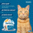Seresto Collar Gatos Pack 2 uds