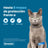 Seresto Collar Gatos Pack 3 uds