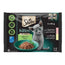 Sheba Kitten Pouch Mix Para Gatos 13X4X85Gr