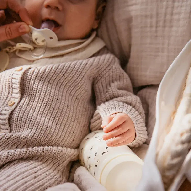 Suavinex Chupetes Tetina Sx Pro +18 Meses Birdies Beige, 2 unidades