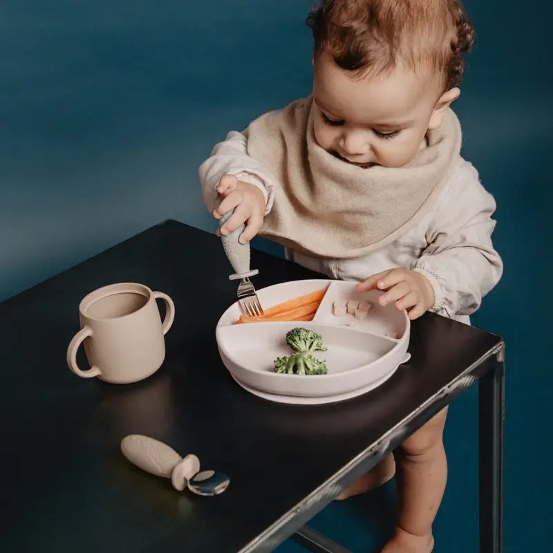 Suavinex Plato De Silicona Con Ventosa Y Divisiones, +6 Meses, Beige