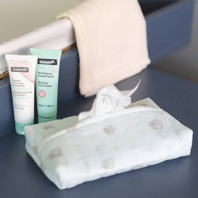 Suavinex Regalo Recién Nacido Con Porta Toallitas De Tela, Azul