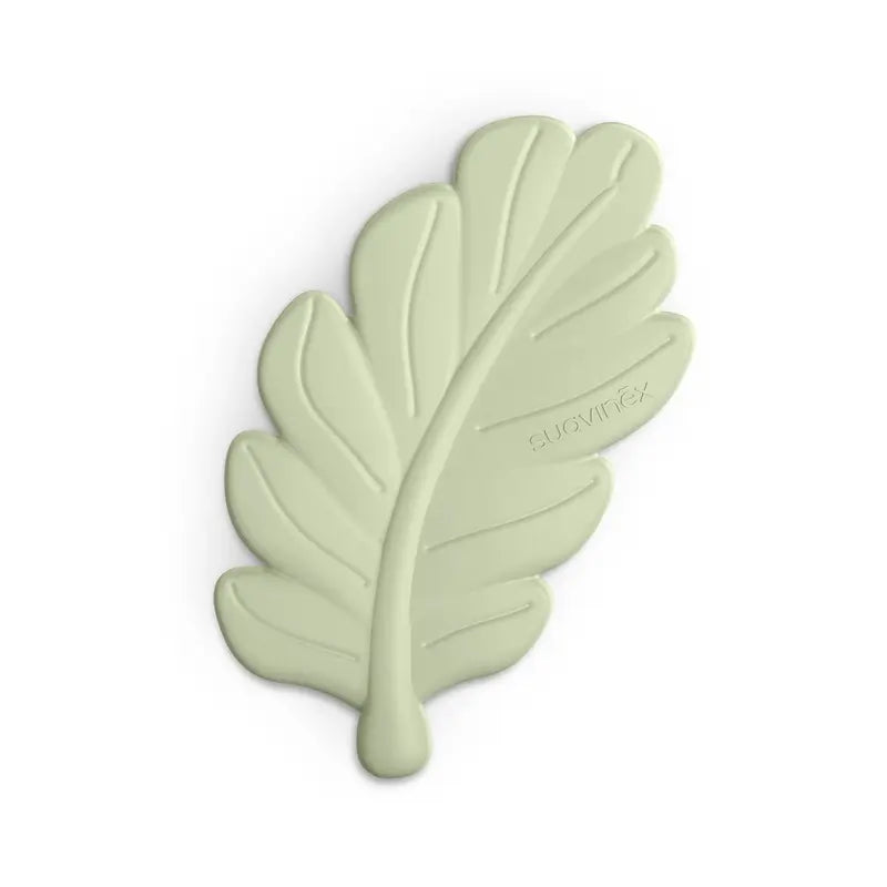 Suavinex Set Regalo Chupete + Chupetero + Biberón 270 Ml (M) + Mordedor, Verde