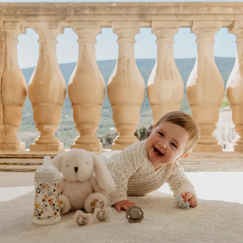 Suavinex Set Regalo Recién Nacido: Biberones + Chupete + Dosificador + Portachupetes + Chupetero, Wonderland Beige