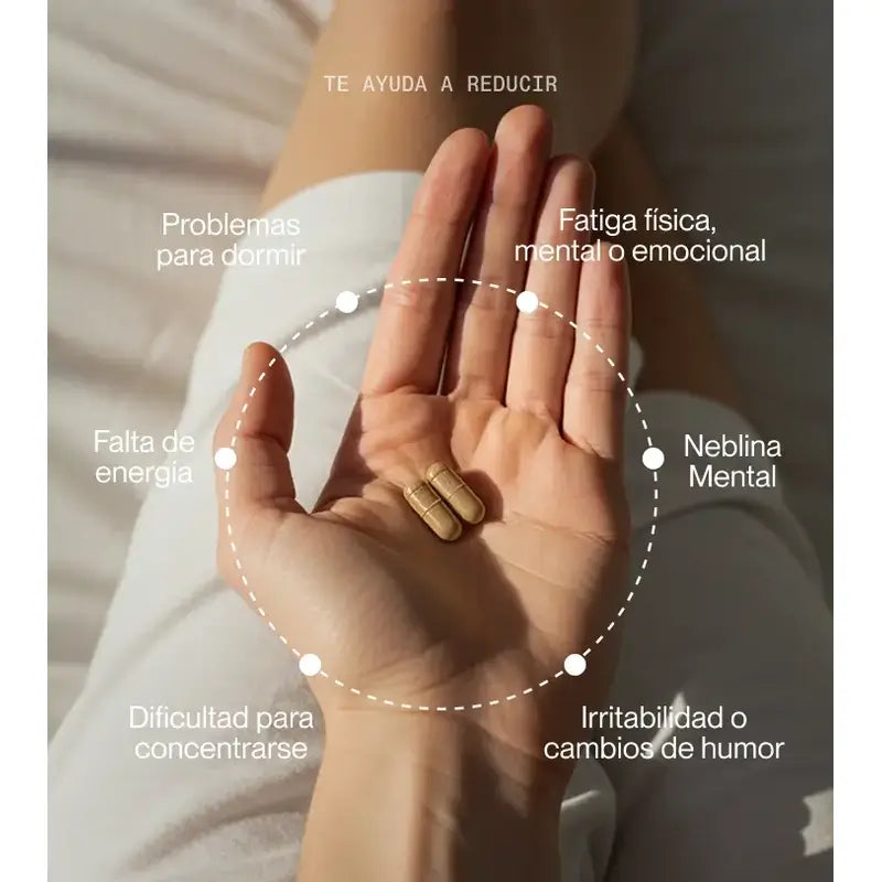 Superlativa Daily Electra , 60 cápsulas