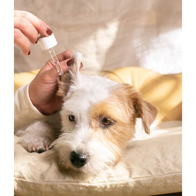 Masco Beauty Limpiador De Oídos Para Perros, 30ml