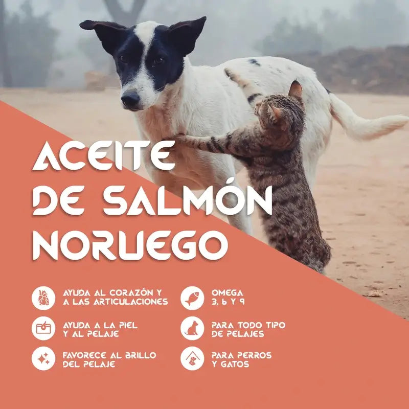 Togo Aceite De Salmon, 250 ml