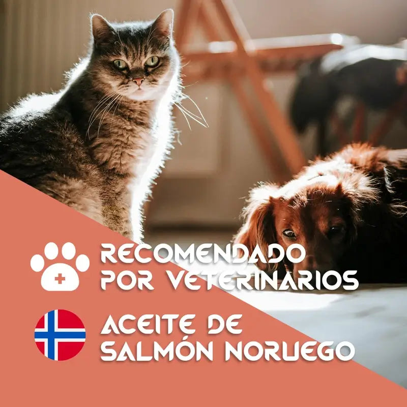 Togo Aceite De Salmon, 250 ml