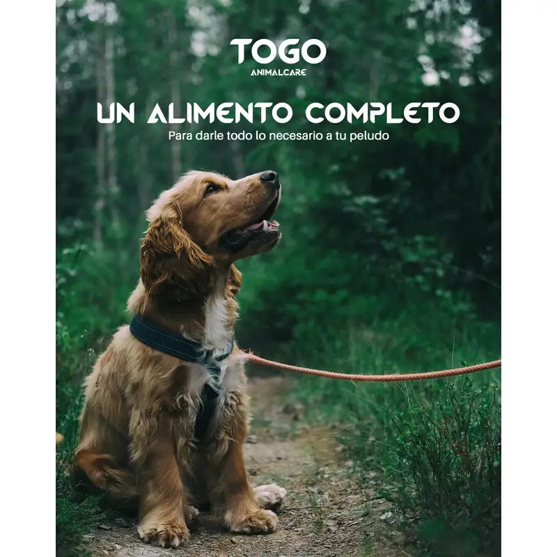 Togo Salmon Alimentación Seca, 15 kg