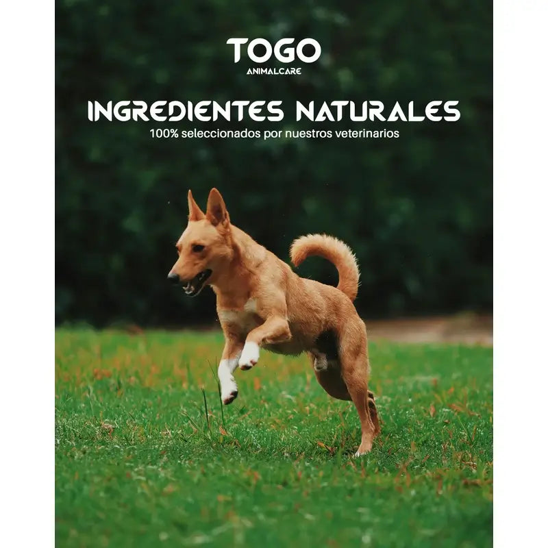 Togo Salmon Alimentación Seca, 15 kg