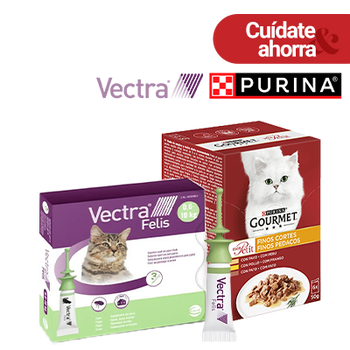 REBAJAS - VERANO - CEVA - VECTRA FELIS REGALO COMIDA HÚMEDA PURINA GOURMET ANTIPARASITARIOS (31 AGOSTO 2026)