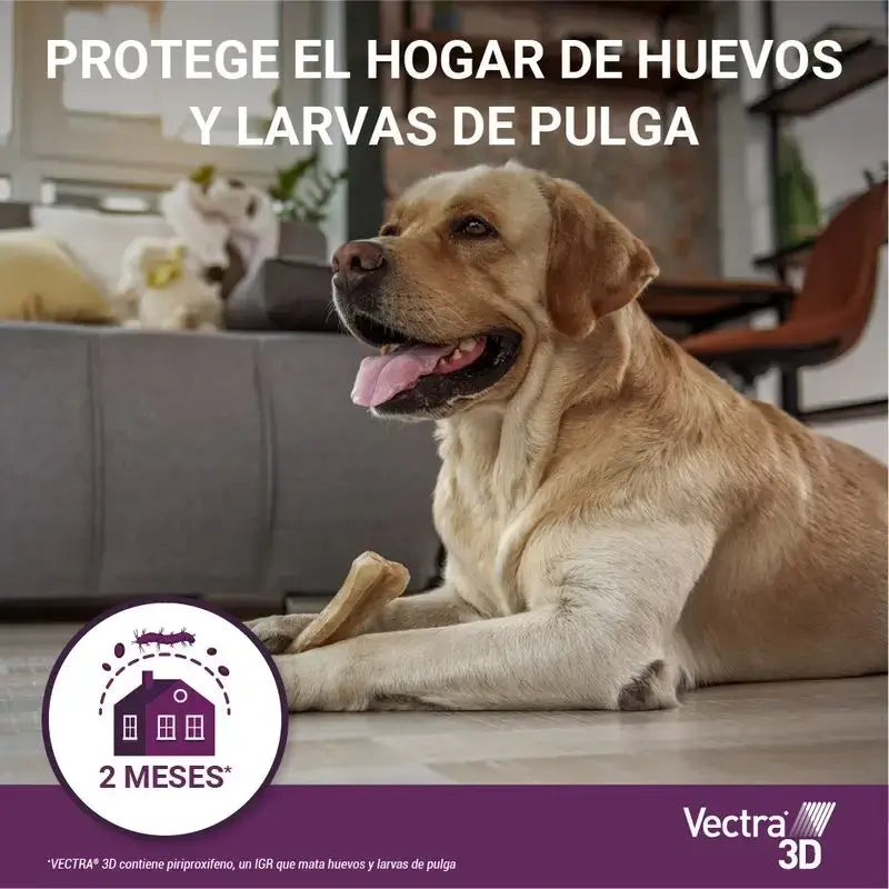 Vectra 3D Perro +40 kg, Pack 2 x 3 Pipetas