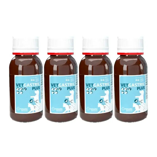 Vetgastril Plus Protector Gástrico para Perros y Gatos, Pack 4 x 50 ml