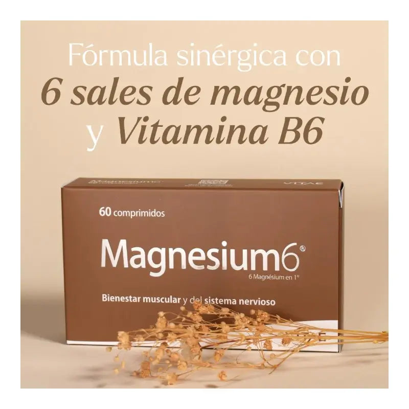 VITAE Magnesium6, 60 comprimidos