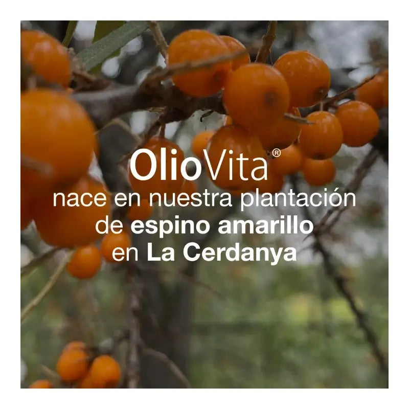 Vitae Oliovita, 150 capsulas
