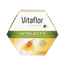 Vitaflor Intelecto 20 Viales