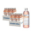 Vitamin Well Pack Antioxidant Melocotón, 24 Uds X 500 Ml