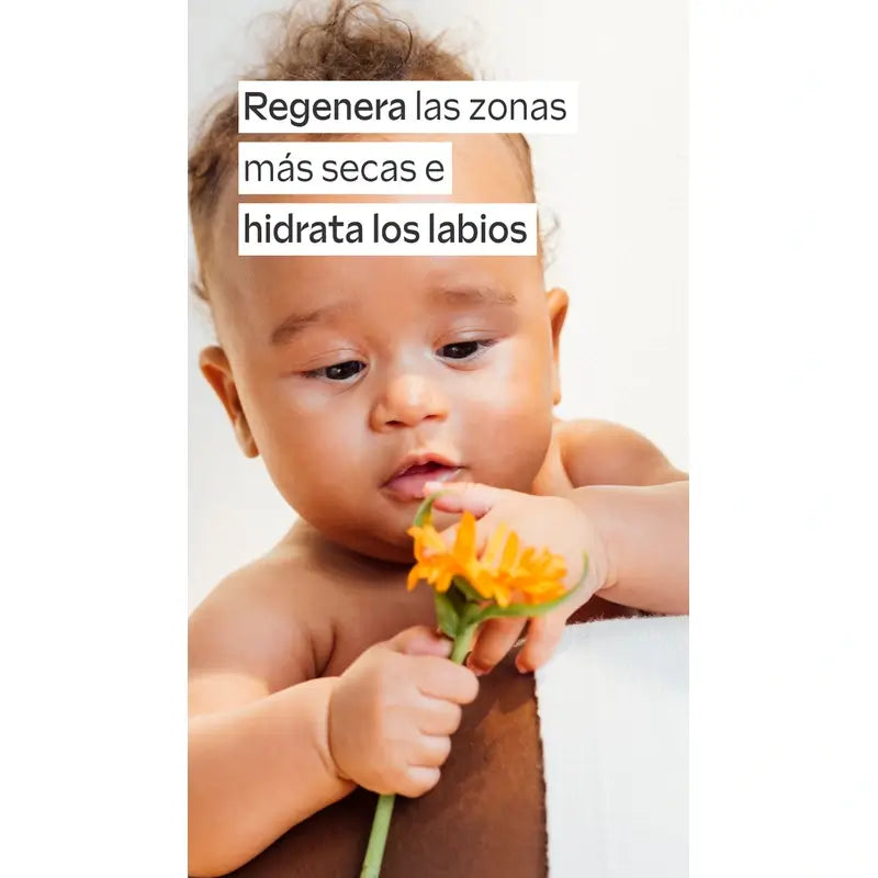 Weleda Bálsamo Multiusos Intensivo De Caléndula, 25 gr