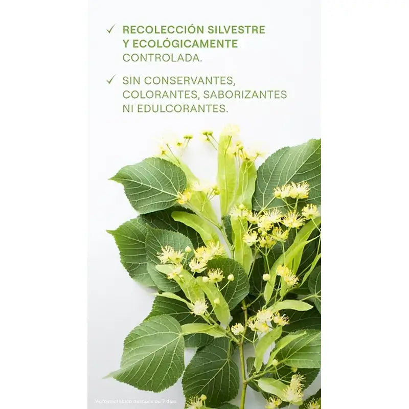 Weleda Zumo de Abedul, 200 ml